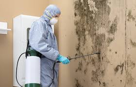 Best Residential Mold Inspection & Testing  in Macarthur, WV